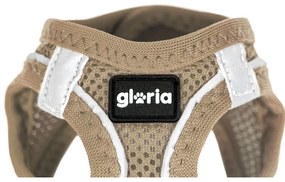 Λουρί Σκύλου Gloria 41,4-43 cm Μπεζ M 29,4-32,6 cm