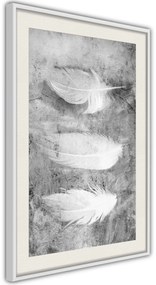 Αφίσα - Delicate Feathers - 30x45 - Μαύρο - Χωρίς πασπαρτού