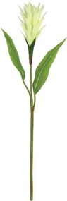 Τεχνητό Λουλούδι Αλπινία 00-10022-1 85cm Ecru-Green Marhome Πλαστικό, Ύφασμα