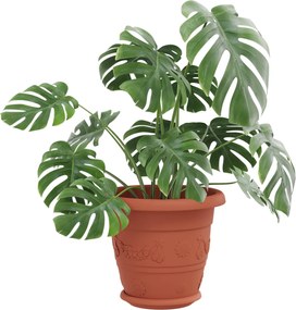 vidaXL Γλάστρες φυτών 24 pcs Κεραμιδί Ø 22 x 18 εκ Πλαστικό