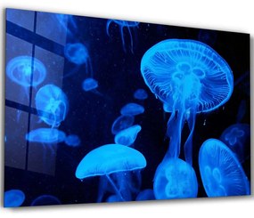 Πίνακας Γυάλινος 672BRS4579 72x46cm Multi Wallity Horizontal Glass