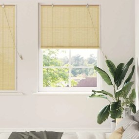 vidaXL Ρολά και Σκίες Παραθύρων Φυσικό 100 x 160 cm Μπαμπού