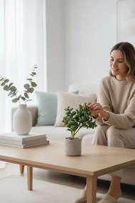 Stewehome τεχνητός κάκτος σε τσιμεντένια γλάστρα