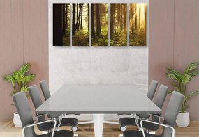 Δάσος με εικόνα 5 μερών λουσμένο στον ήλιο - 100x50