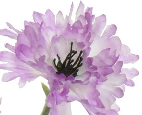 Beauty Home ΛΟΥΛΟΥΔΙ 68 CM