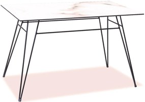 Παραλληλόγραμμο Μεταλλικό Τραπέζι Με Επιφάνεια Compact Hpl Γκρί 120 x 80 x 75(h)cm